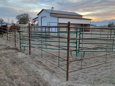 Continuous Fence Panels (1-5/8" x 5 Rail)