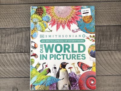 DK Smithsonian Our World in Pictures An Encyclopedia of Everything Visual Guide New
