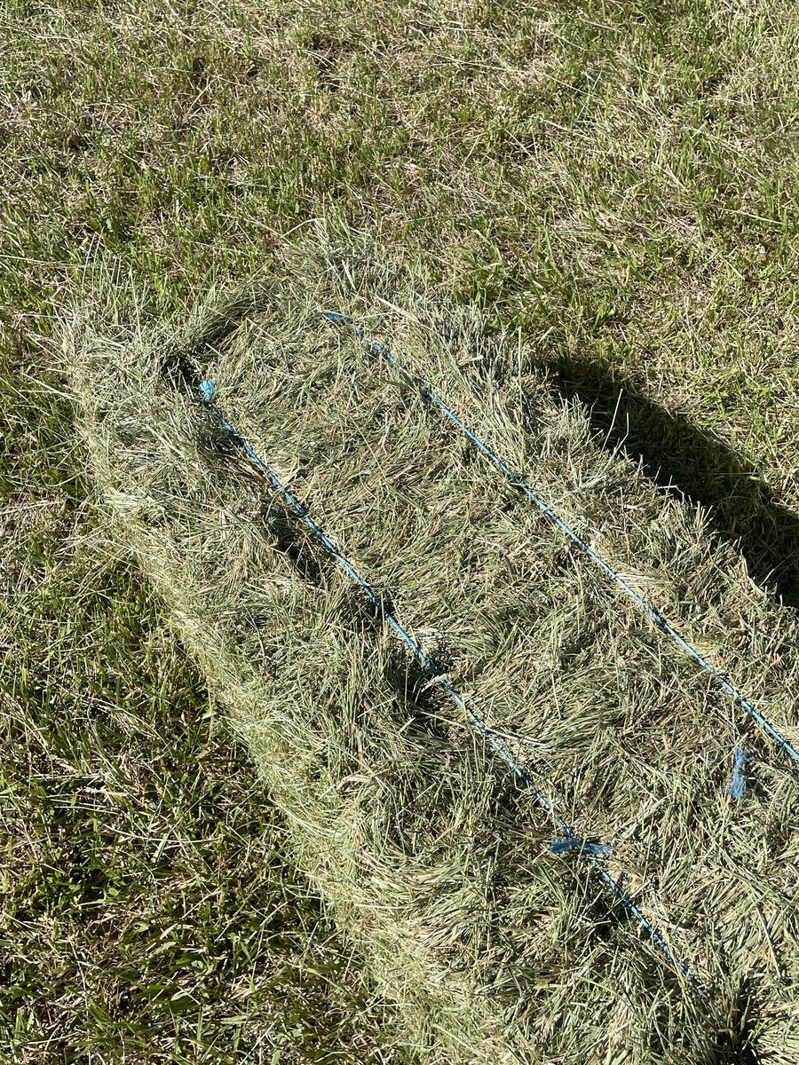 Main image 3