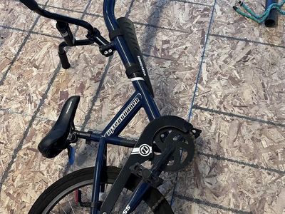 Bicycle Tag-a-long (Ride-Behind)