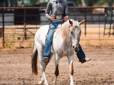 3 yr old pony