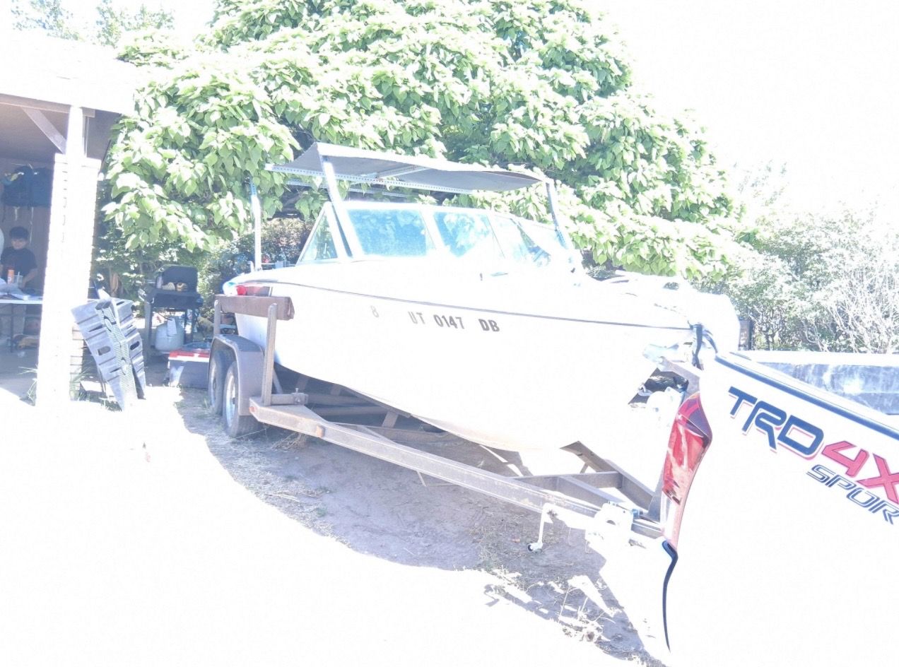 Main image 5