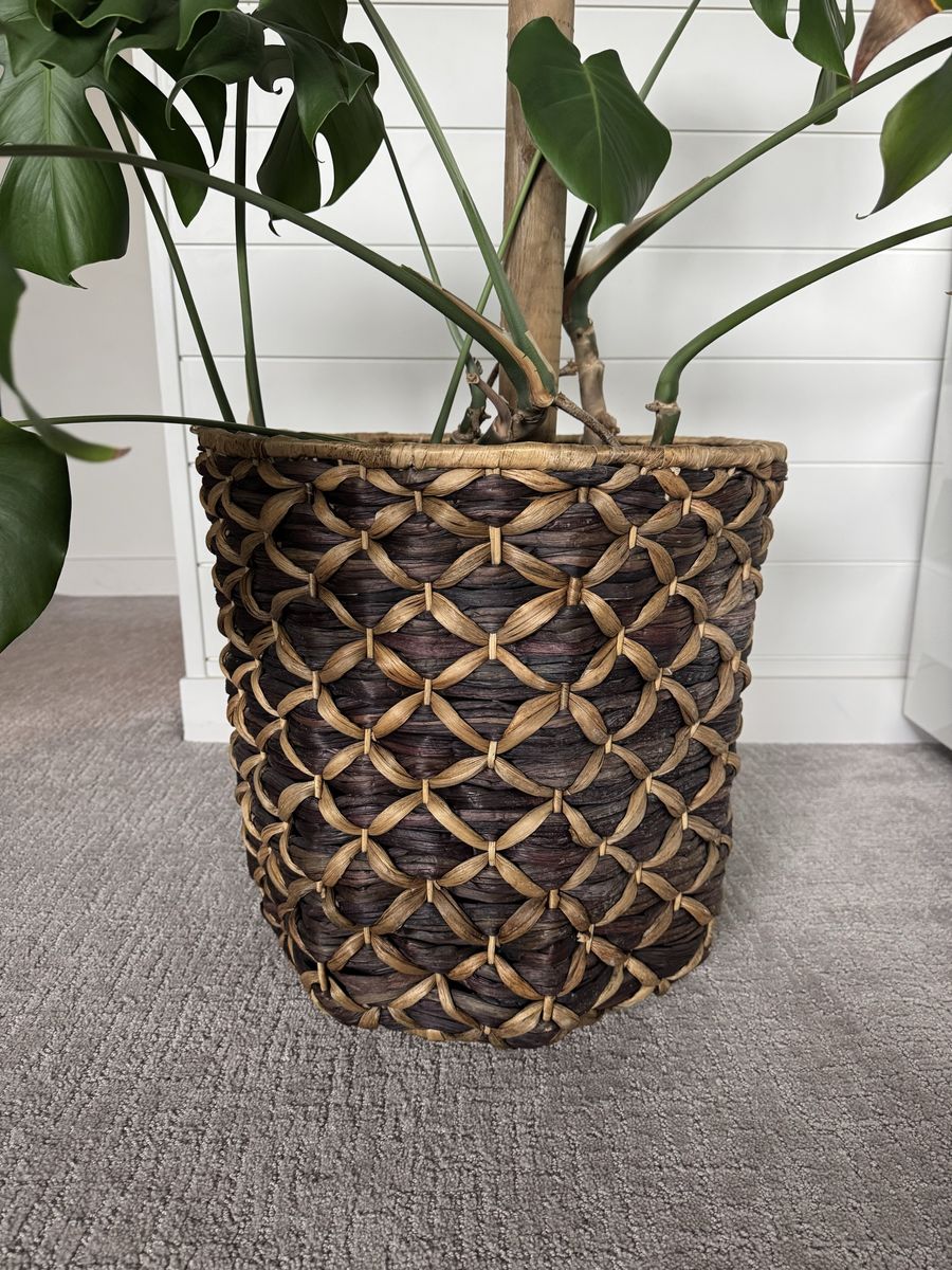 Indoor Planter
