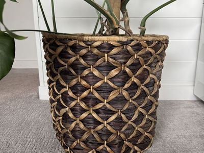 Indoor Planter