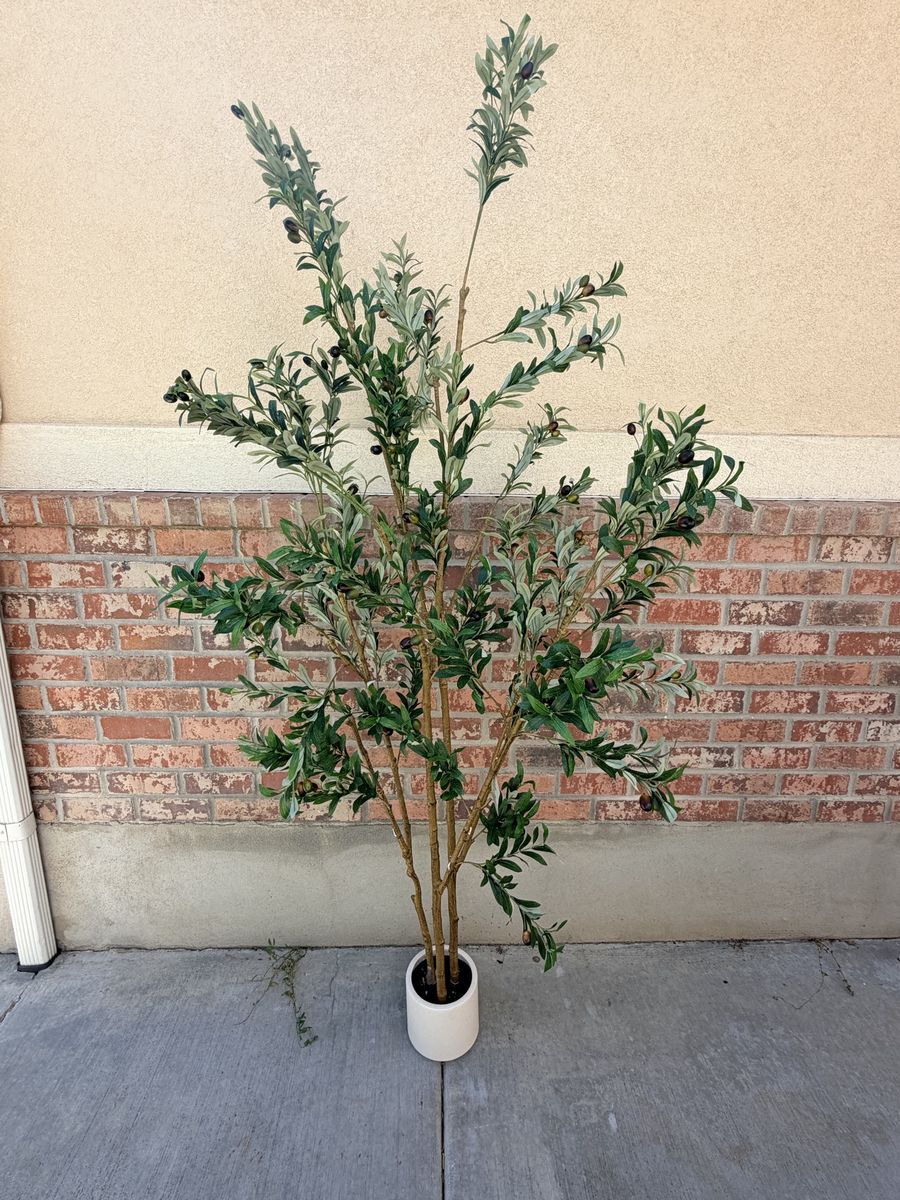 New 7’ Large Artificial Olive Tree in White Pot - Faux Plant Indoor Decor