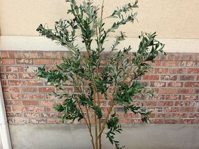 New 7’ Large Artificial Olive Tree in White Pot - Faux Plant Indoor Decor
