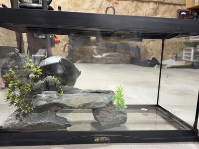 10 Gallon Terrarium