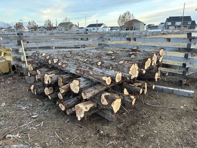 8 Foot Cedar Posts