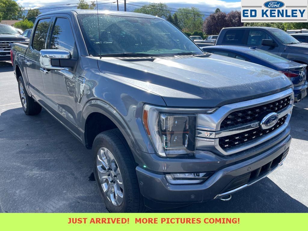 2021 Ford F-150 Platinum
