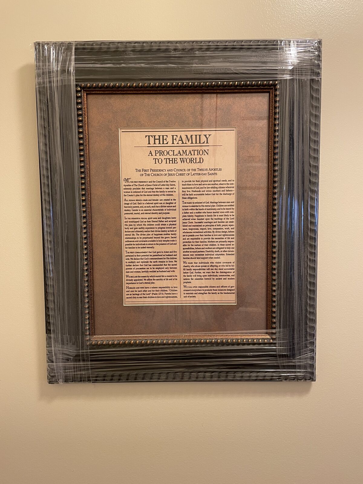 The Family A Proclamation To The World Picture