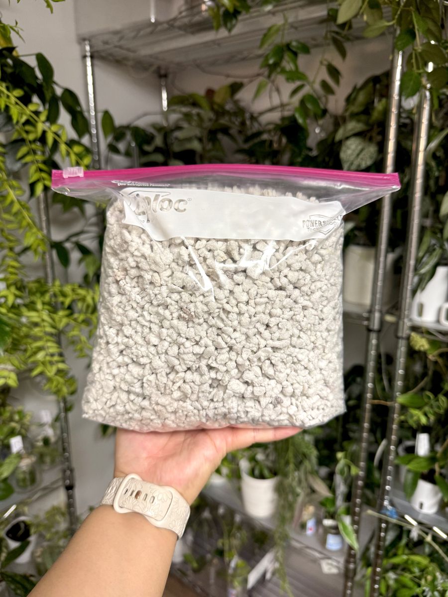 Chunky Perlite (size #3) For Plants