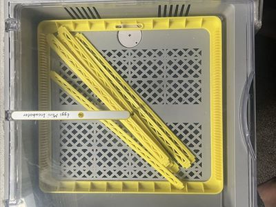 36 Egg Incubator Automatic Egg Turner for Hatching Chickens Birds Poultry