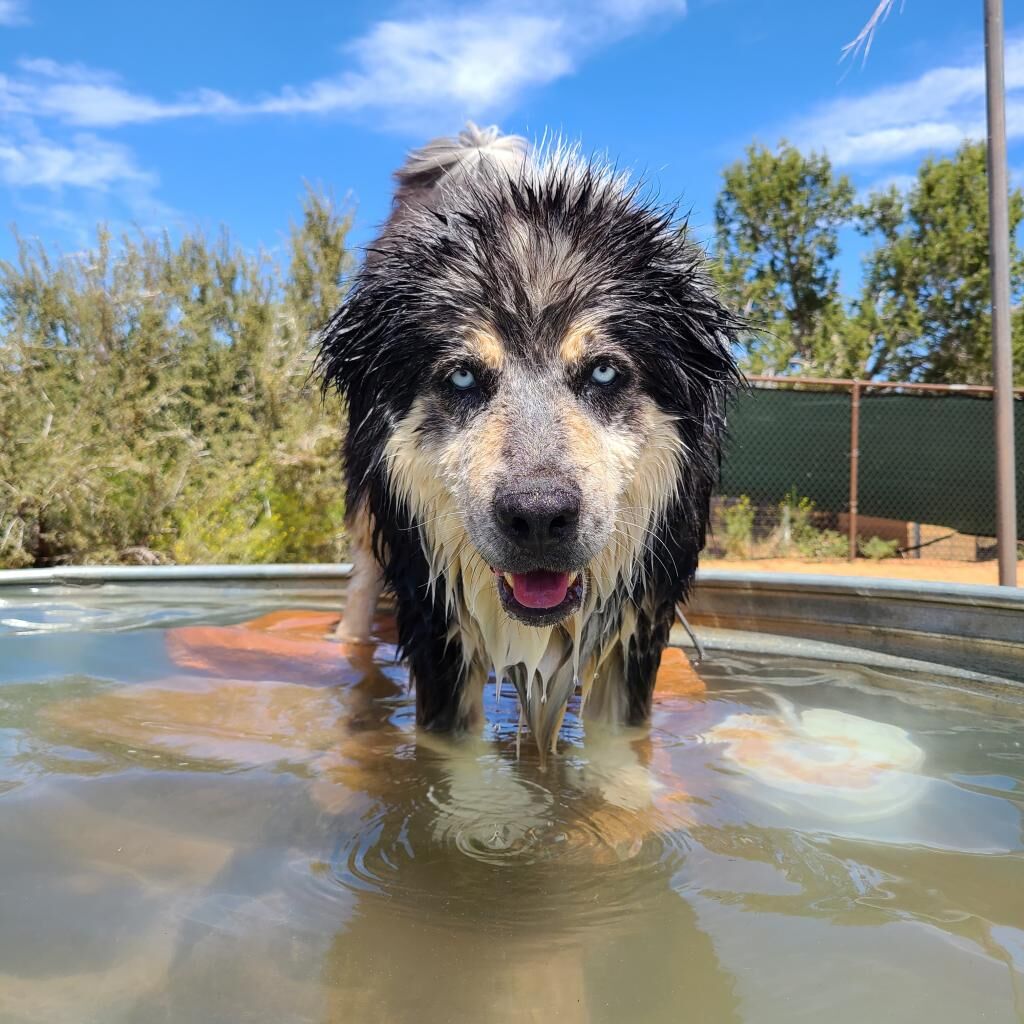 Hello my name is Archo