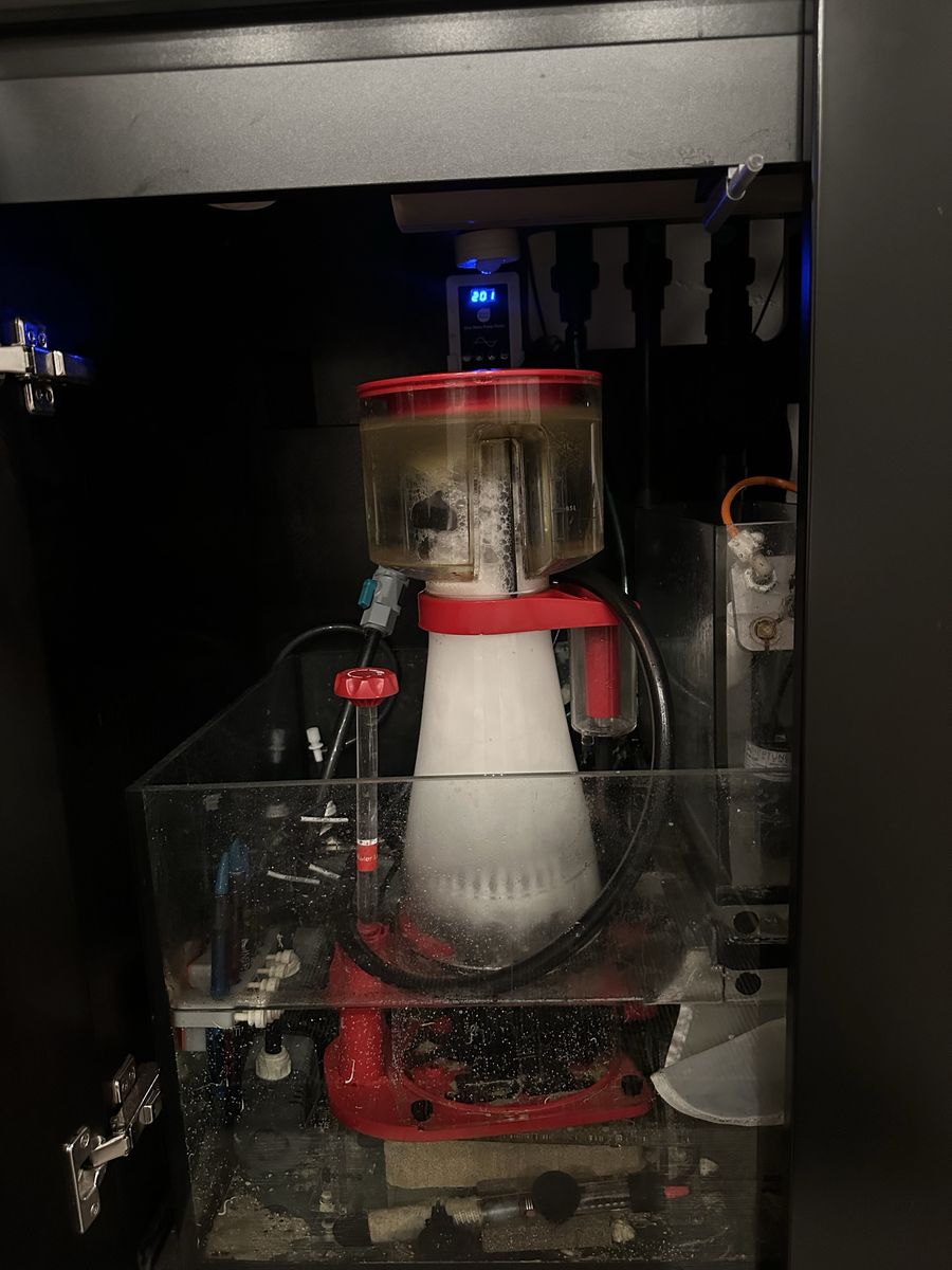 Main image 3