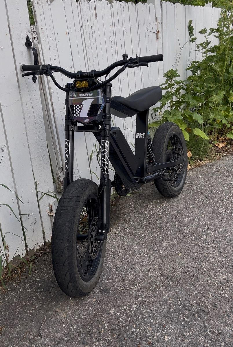 P-51 Ace Ebike