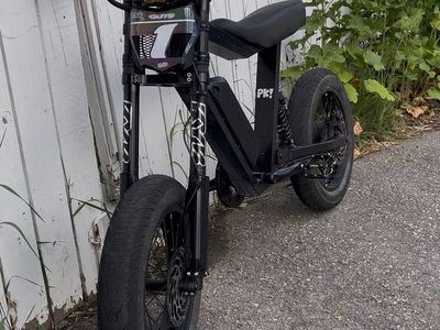 P-51 Ace Ebike