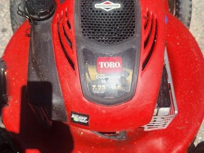 Toro Personal Pace