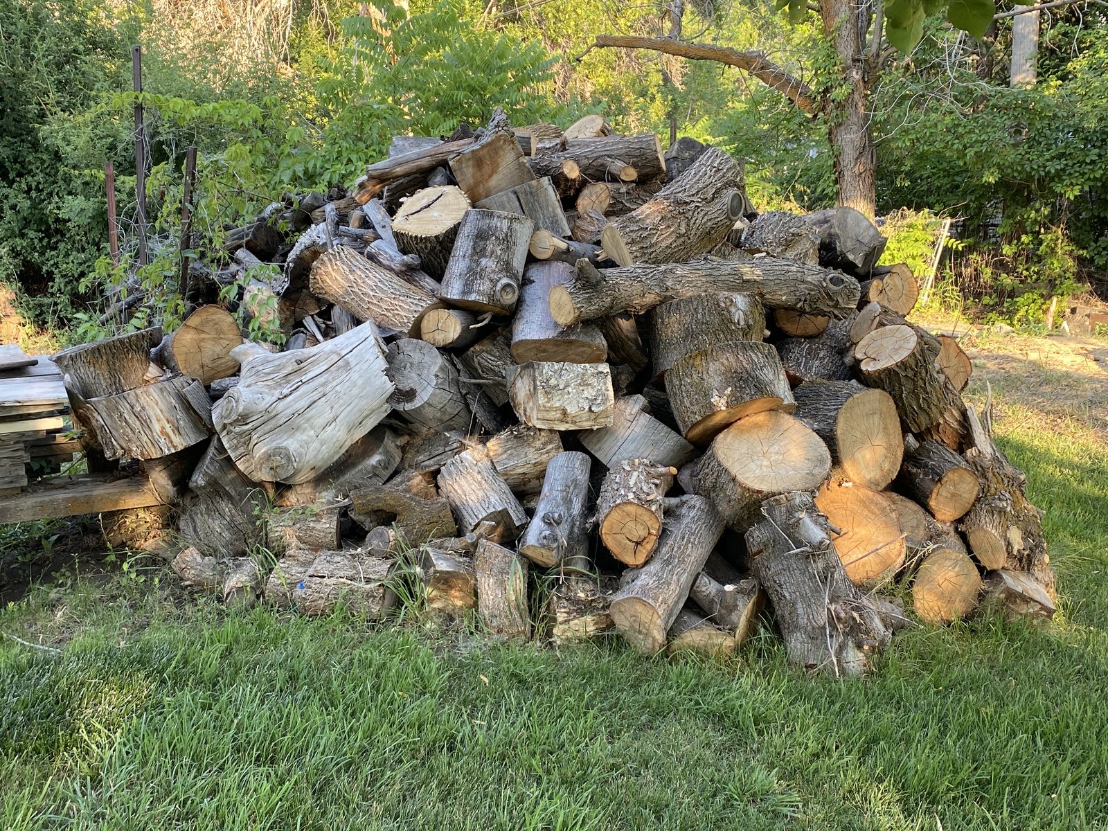 Free Firewood