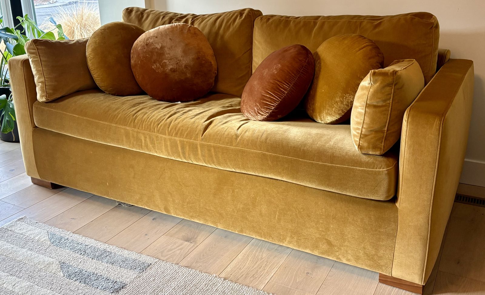 Like New Velvet Queen Sleeper Sofa WestElm Pillows