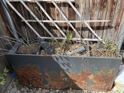 Free metal garden thing