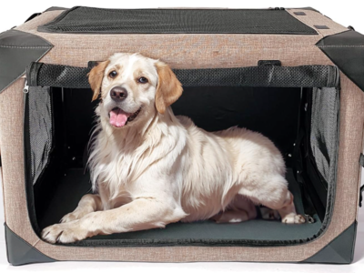 New in box Collapsible Dog Crate