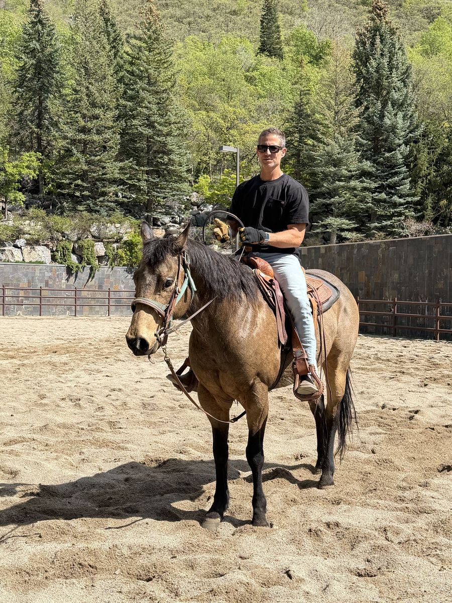 Bucksin papered 12yr old AQHA gelding Quarter Horse for sale