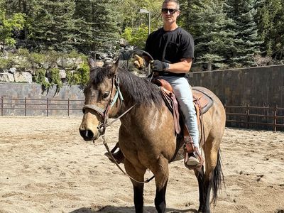 Bucksin papered 12yr old AQHA gelding Quarter Horse for sale