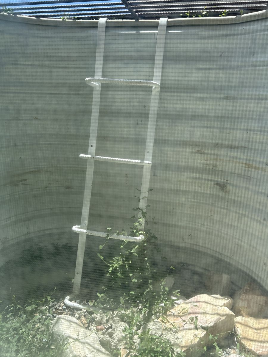 Window well ladder