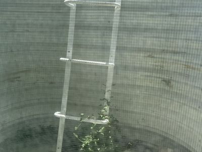 Window well ladder