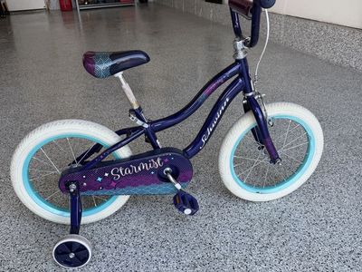 Schwinn Starmist