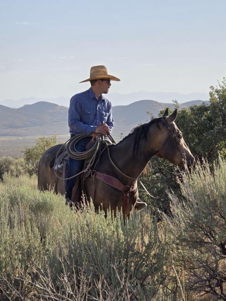 Looking for outside horses