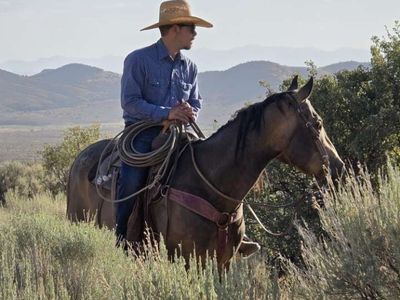 Looking for outside horses