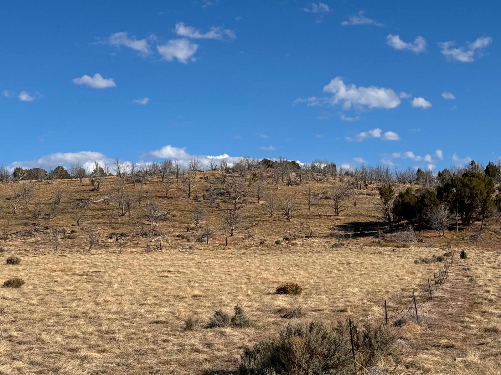 20 acres 10200 W 17700 S, Fillmore, UT 84631