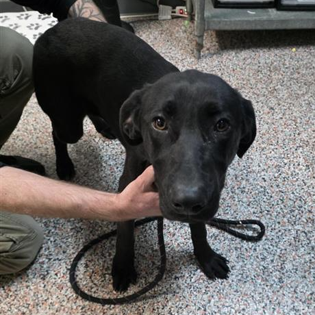 Hello my name is Bailey