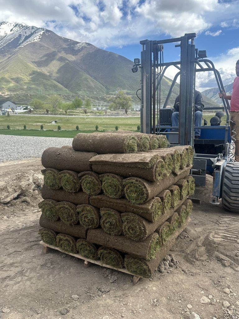 Sod Delivery and sod Install