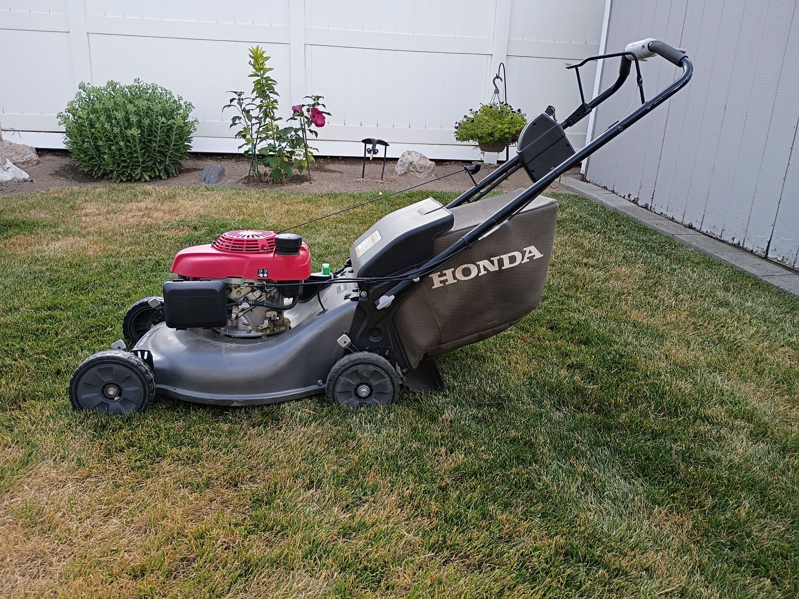 Honda mower