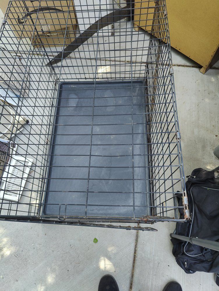 Main image 3