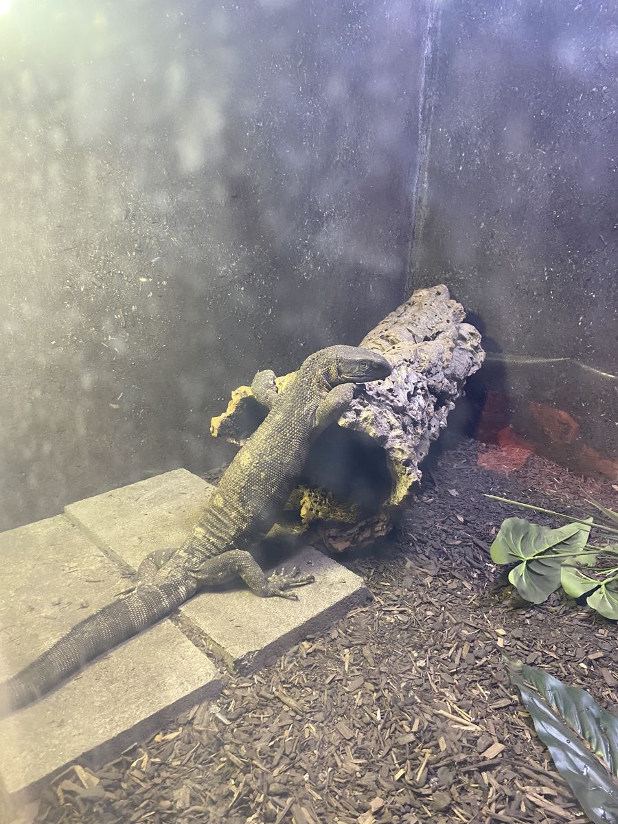Black throat monitor