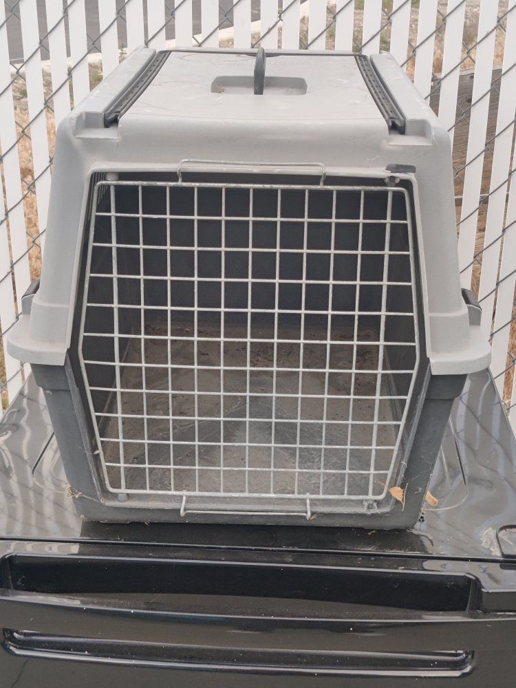 Used Plastic Pet Carrier - Ideal for Small Dogs/Cats, Secure & Portable Travel Crate