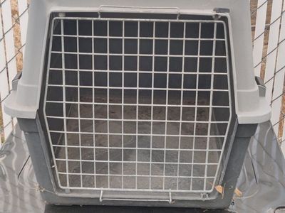 Used Plastic Pet Carrier - Ideal for Small Dogs/Cats, Secure & Portable Travel Crate