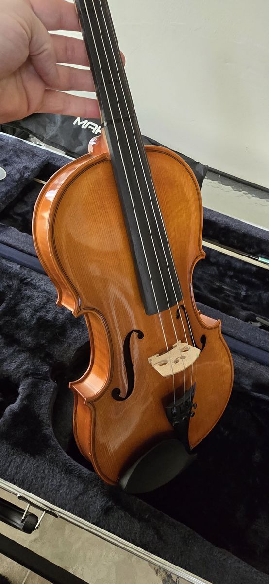 Violin