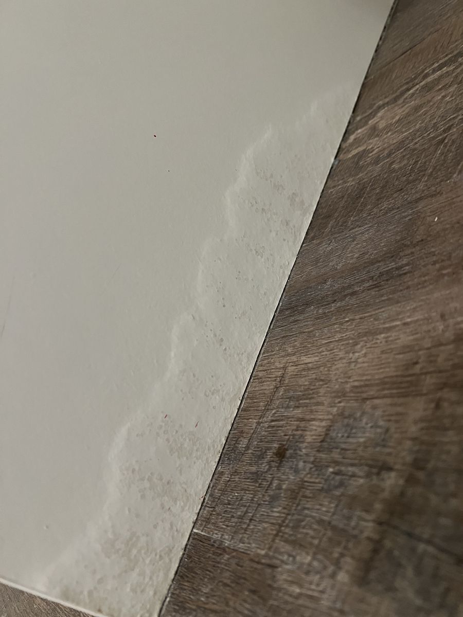 Main image 7