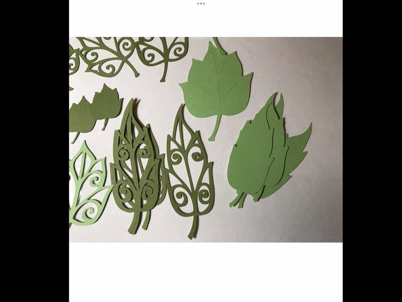 Main image 2