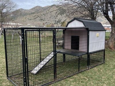 Heated Dog House With Pen