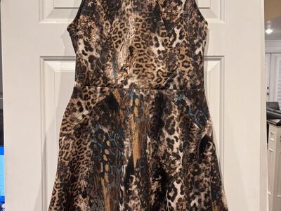 Women’s Dress Size 10