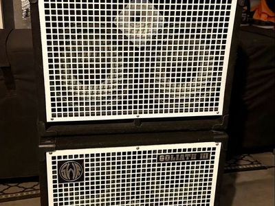 Full Bass Rig - SWR Goliath III Bass Cabinet Stack with a Peavey Firebass 700 Head