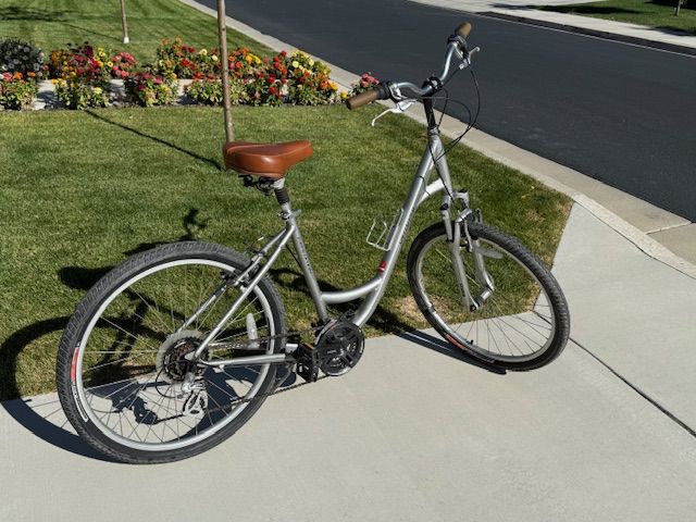 Bike Bonanza with carrier
