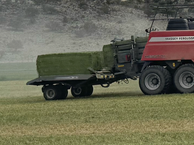 Premium/Supreme Quality Alfalfa Hay