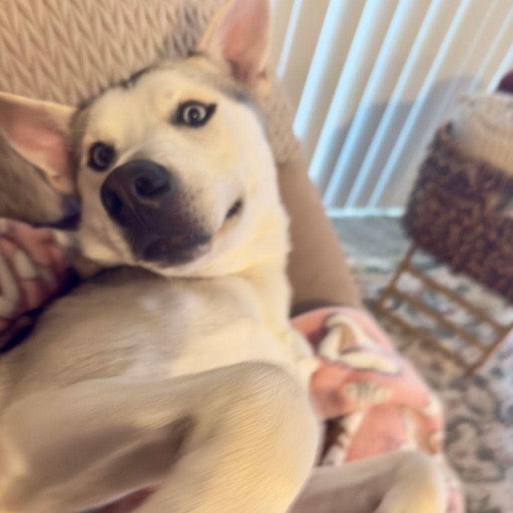 Hello my name is Blake