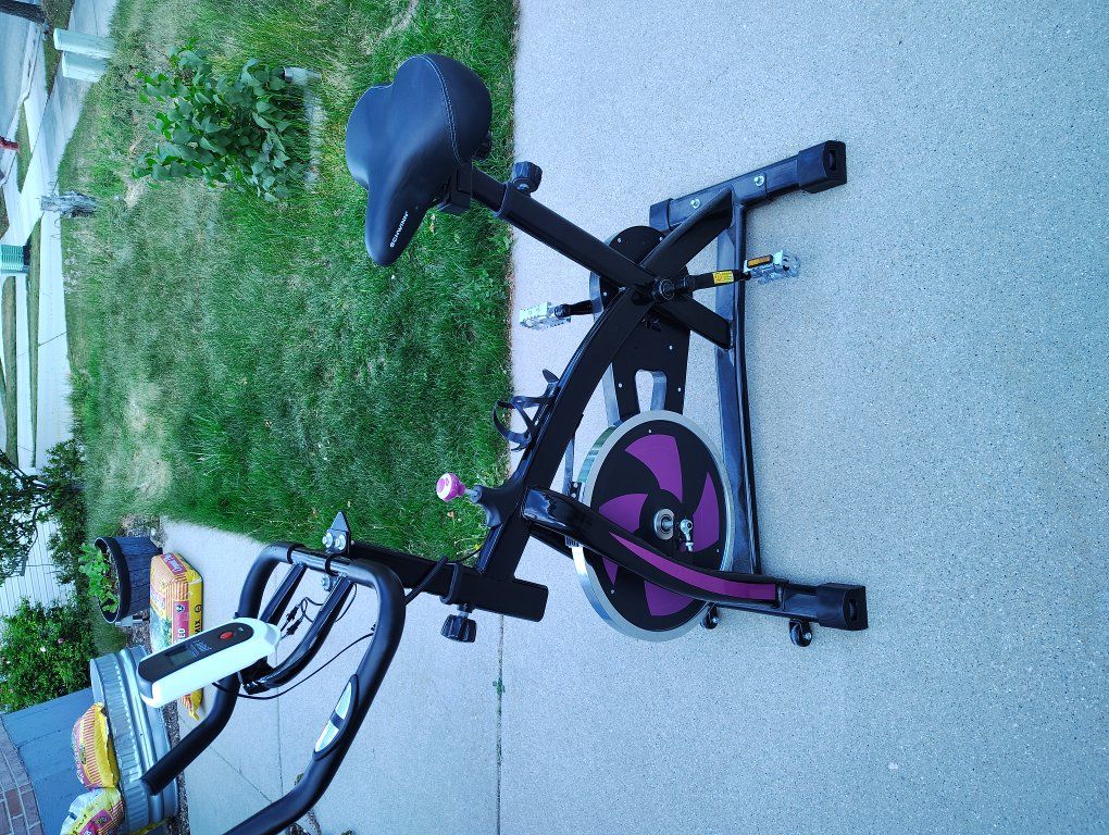 exercise bike 40lb Flywheel